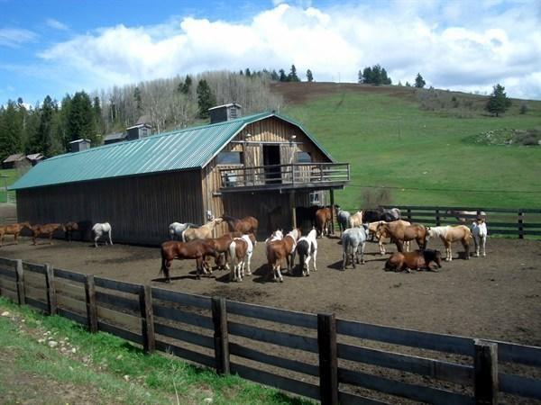 Bull Hill Guest Ranch Hotel Marble Exterior foto